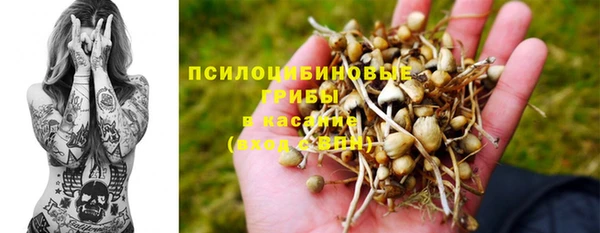 мдпв Арсеньев