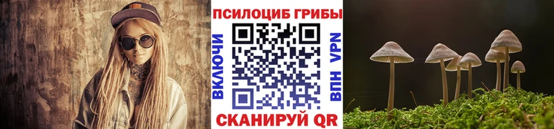 Галлюциногенные грибы прущие грибы  наркошоп  Спас-Деменск 